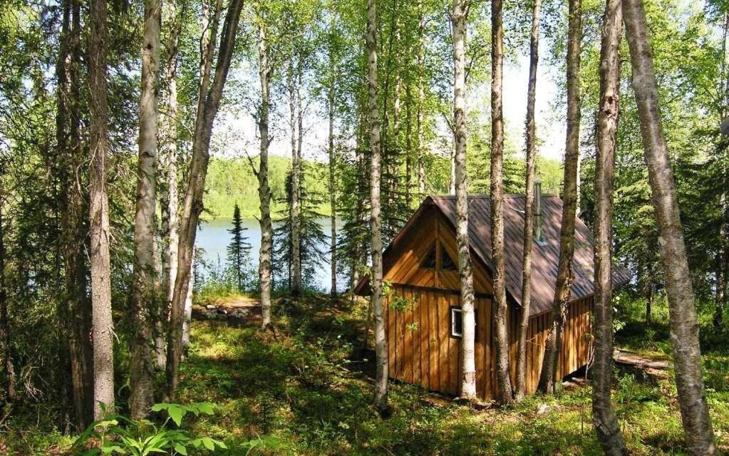 Talkeetna Lakeside Cabins Denali Kültér fotó